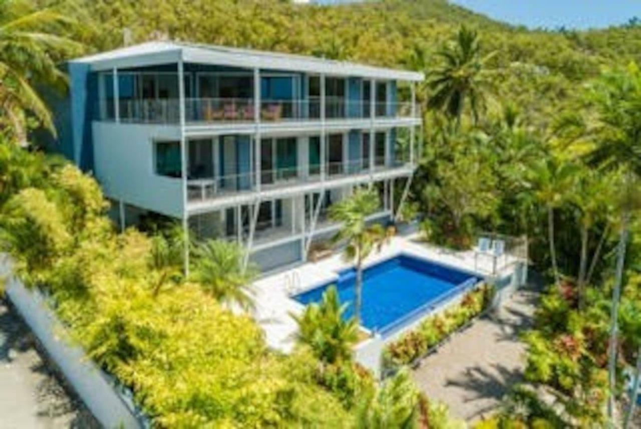 Baybliss Apartments Studio 1 Shute Harbour Exteriér fotografie