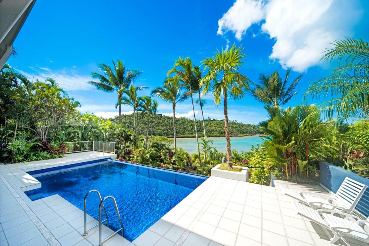 Baybliss Apartments Studio 1 Shute Harbour Exteriér fotografie