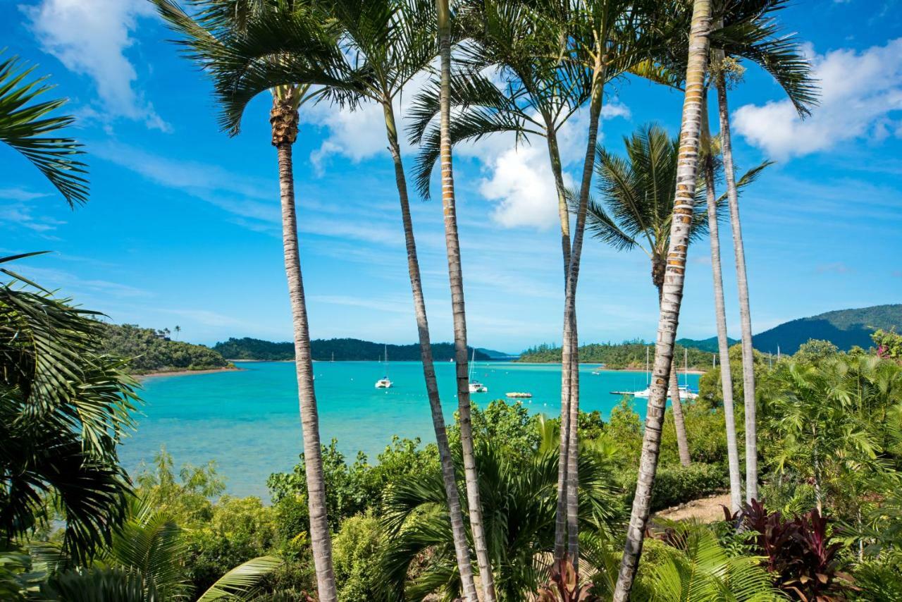 Baybliss Apartments Studio 1 Shute Harbour Exteriér fotografie